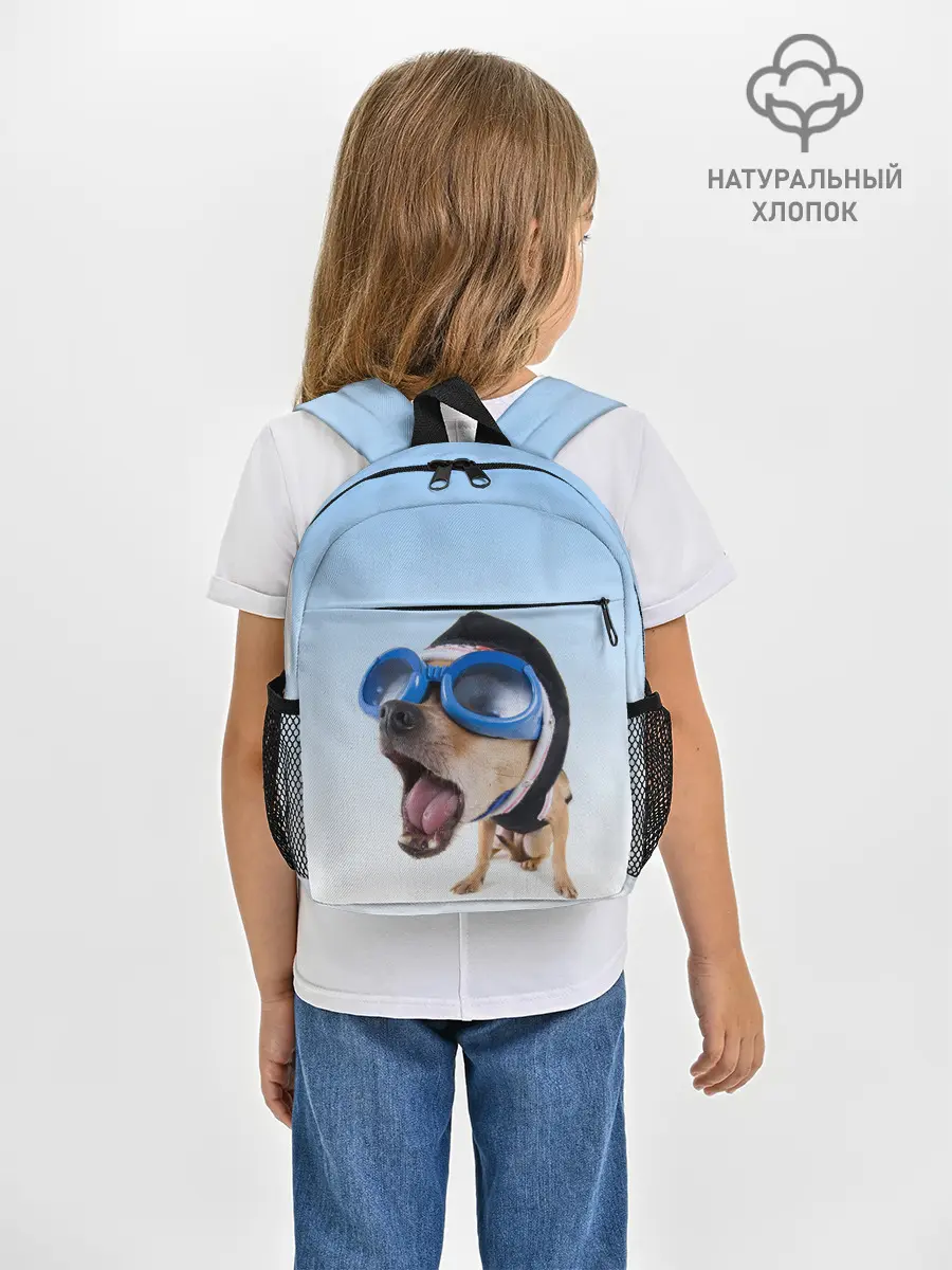 Рюкзак детский / собака в очках