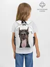 Рюкзак детский / Доберман / Doberman