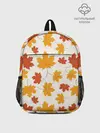 Рюкзак детский / Осень / Autumn