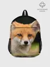 Рюкзак детский / Мордочка лисицы