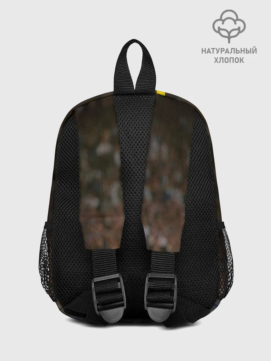 Рюкзак детский / Роберто Карлос