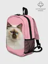 Рюкзак детский / Пушистый кот