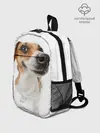 Рюкзак детский / Собака