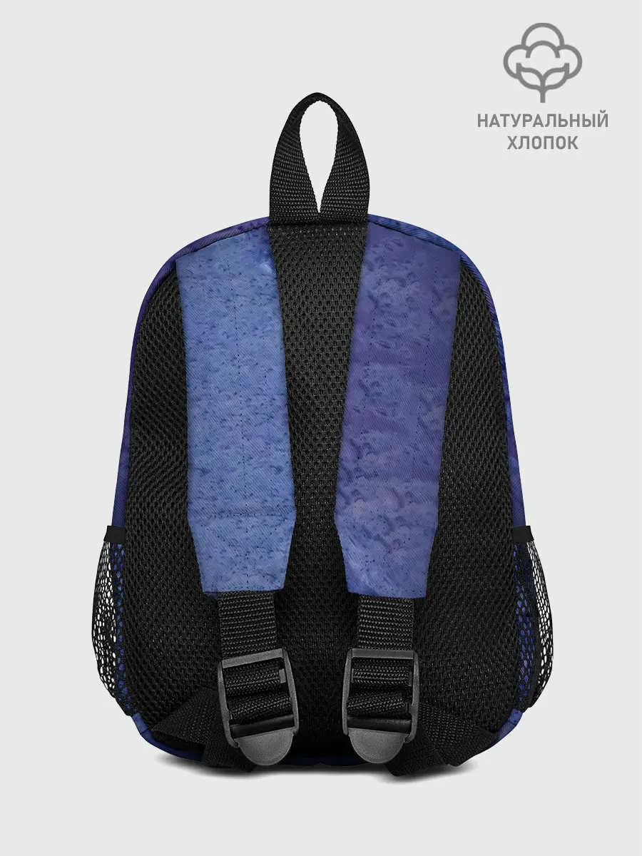 Рюкзак детский / Nautilus Pompilius РАСКОЛ