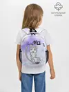 Рюкзак детский / Пак / Re: Zero Фамильяр Эмилии