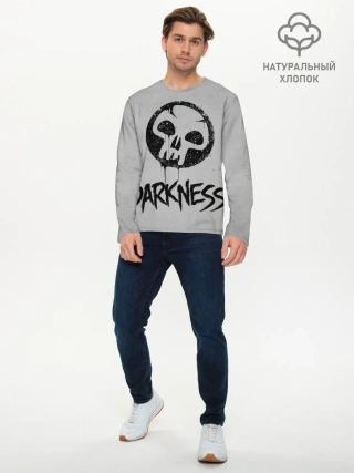 Мужской лонгслив базовый / Emblems Darkness