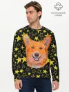 Мужской лонгслив базовый / Corgi | Stars
