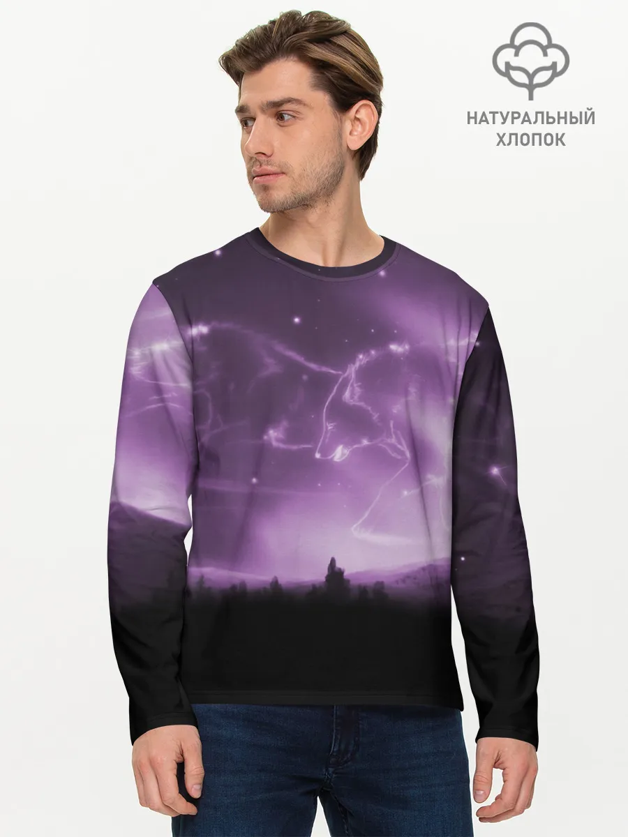 Мужской лонгслив базовый / ВОЛКИ СОЗВЕЗДИЯ