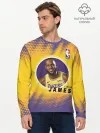 Мужской лонгслив базовый / LeBron James