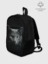 Рюкзак детский / Кот