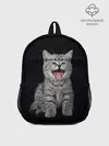 Рюкзак детский / Кричащий кот.