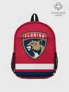 Рюкзак детский / Флорида Пантерз