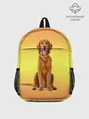 Рюкзак детский / Золотистый ретривер