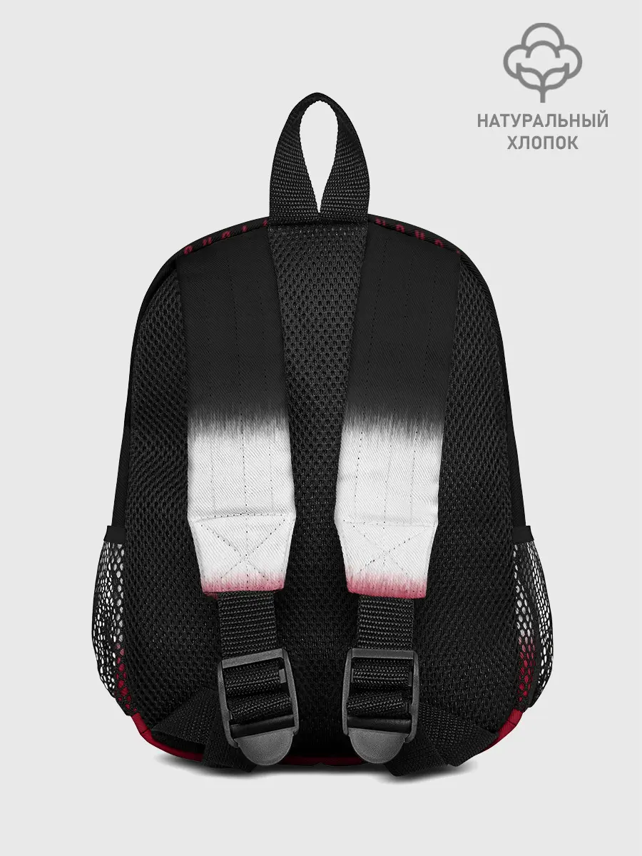 Рюкзак детский / 2019 Champions Raptors