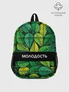 Рюкзак детский / Молодость/глупость