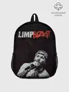Рюкзак детский / Limp Bizkit