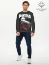 Мужской лонгслив базовый / PANTERA VULGAR OF POWER