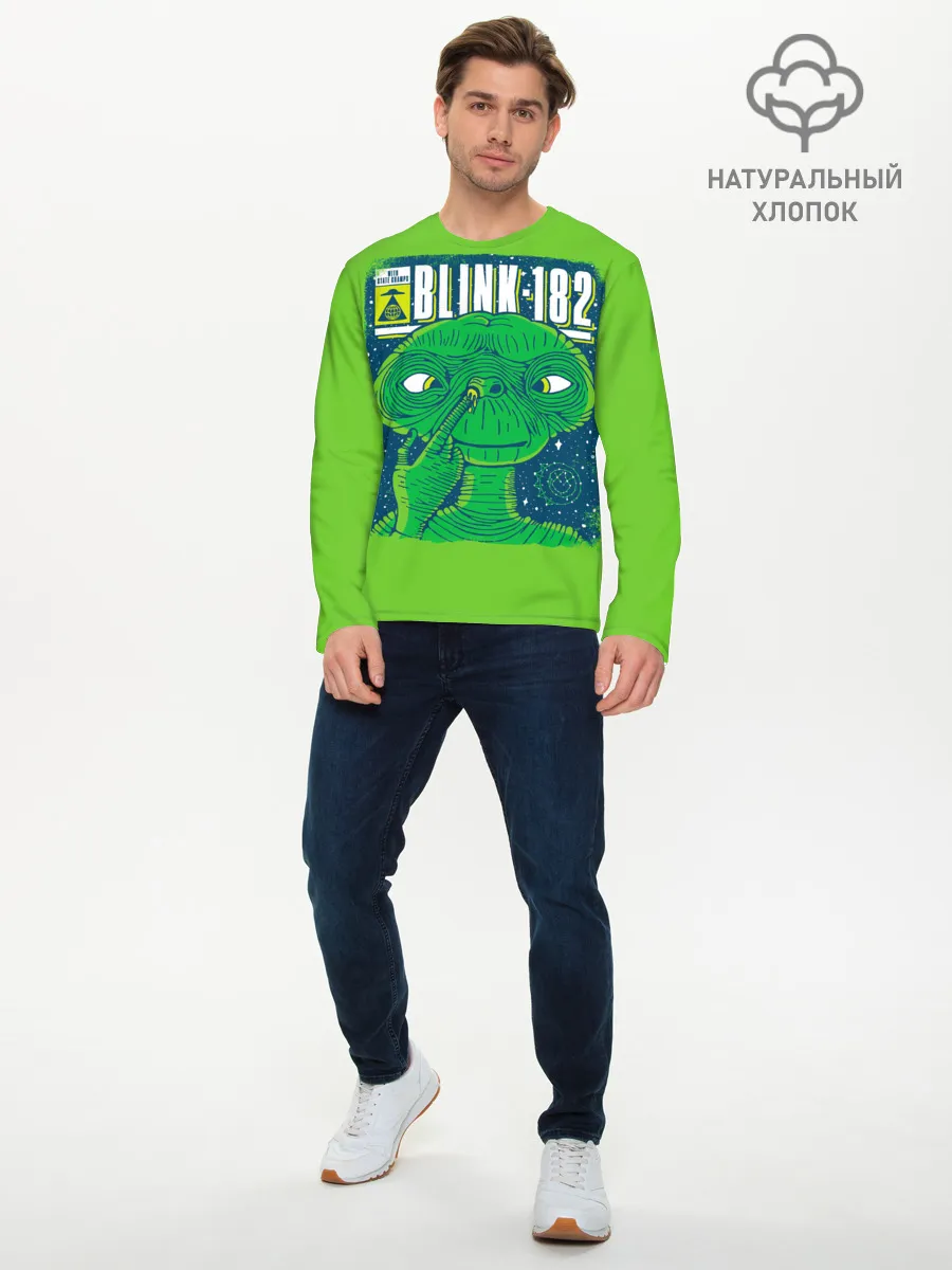 Мужской лонгслив базовый / Blink-182