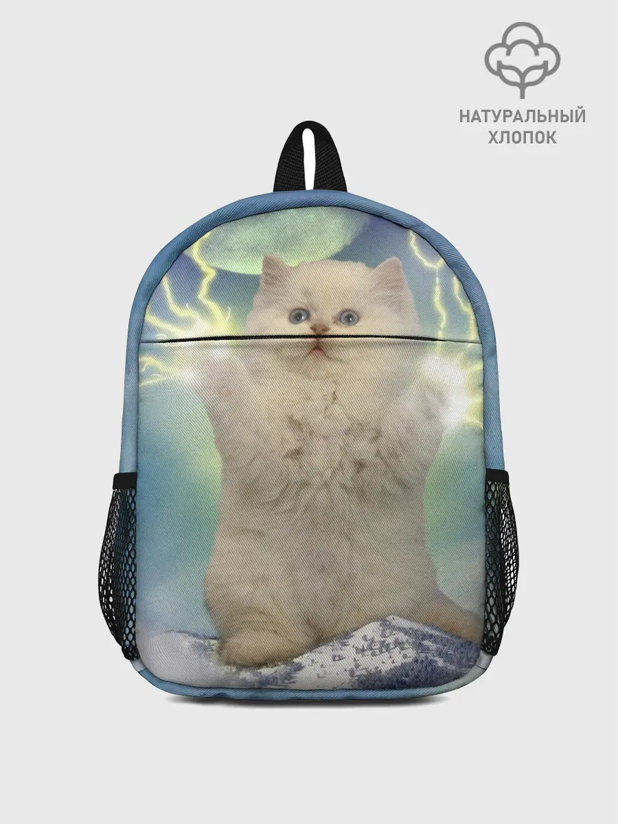 Рюкзак детский / Грозовой Котик