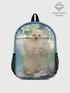 Рюкзак детский / Грозовой Котик