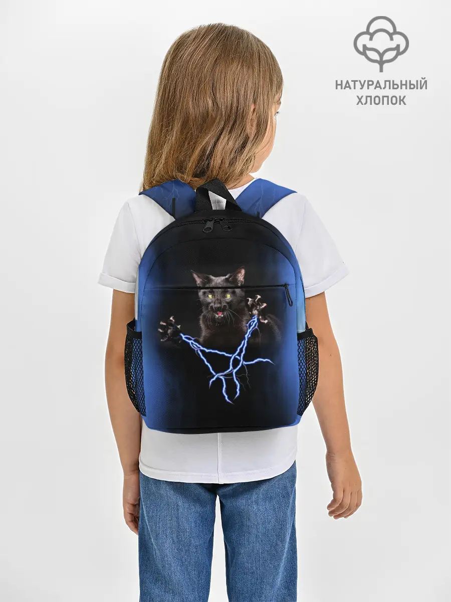 Рюкзак детский / Грозовой кошак