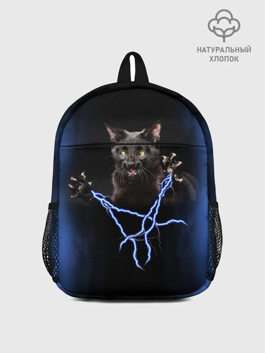 Рюкзак детский / Грозовой кошак