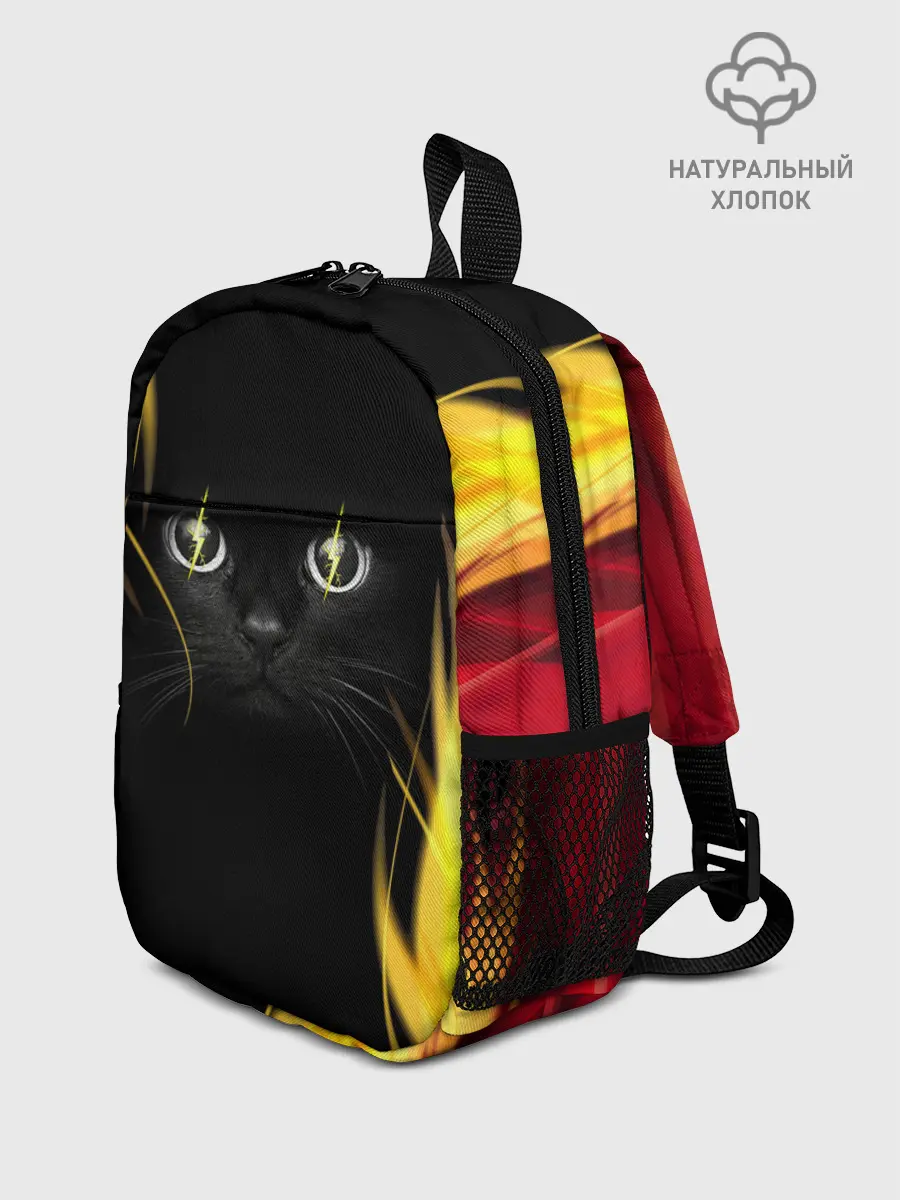 Рюкзак детский / Грозовой кошак