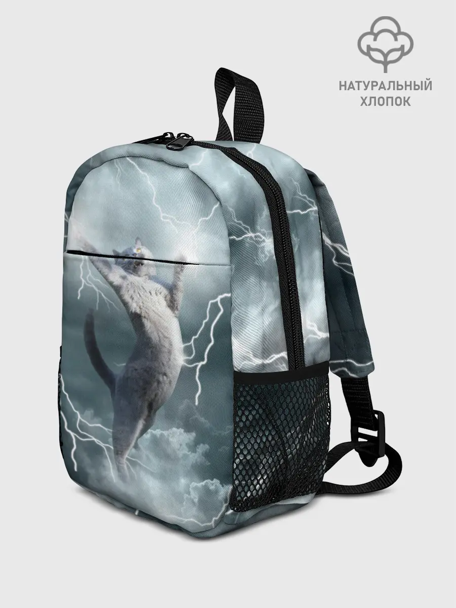 Рюкзак детский / Грозовой кошак.