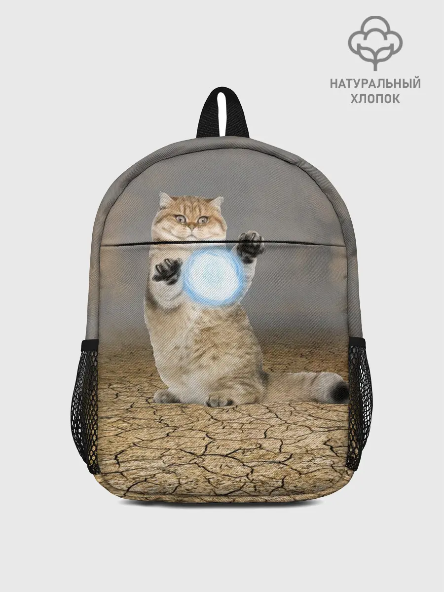 Рюкзак детский / Земляной кошак с расенганом