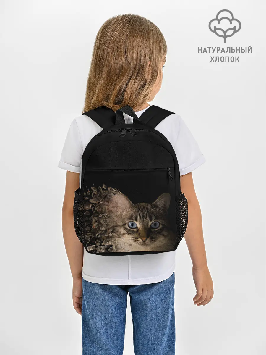 Рюкзак детский / Disintegrating Cat