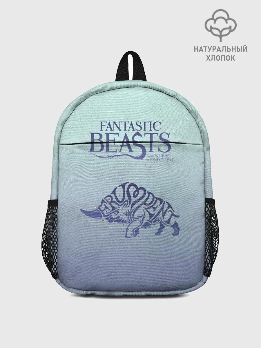 Рюкзак детский / Erumpent