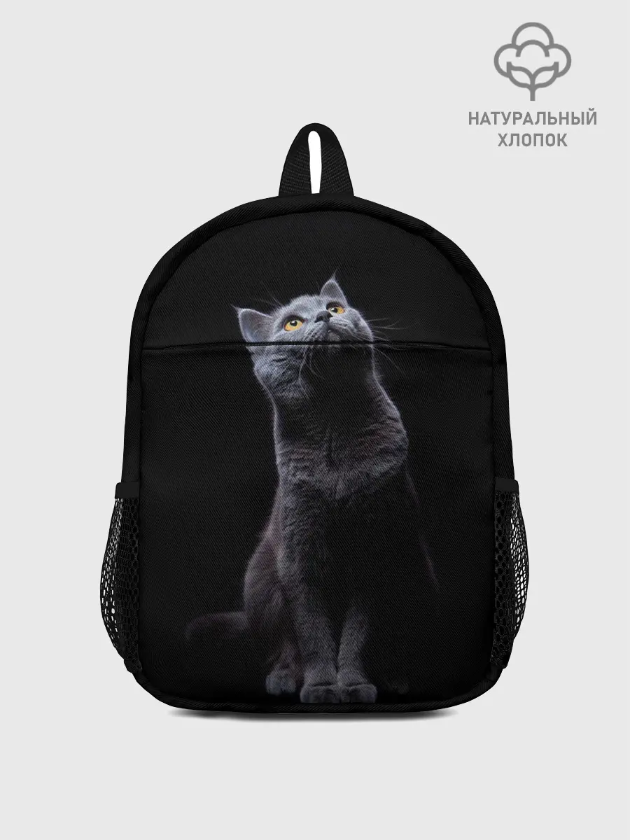 Рюкзак детский / Кот Британец