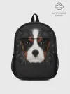 Рюкзак детский / Cavalier King Charles