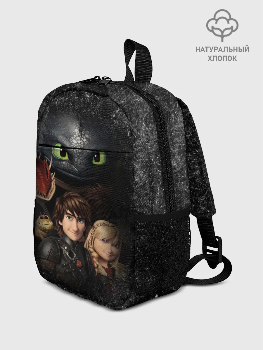 Рюкзак детский / Беззубик и викинги