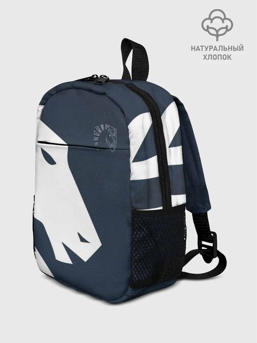 Рюкзак детский / cs:go - Liquid team