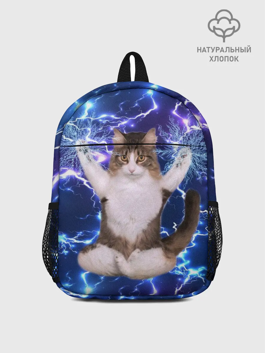 Рюкзак детский / Грозовой Котик