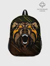 Рюкзак детский / Angry Bear