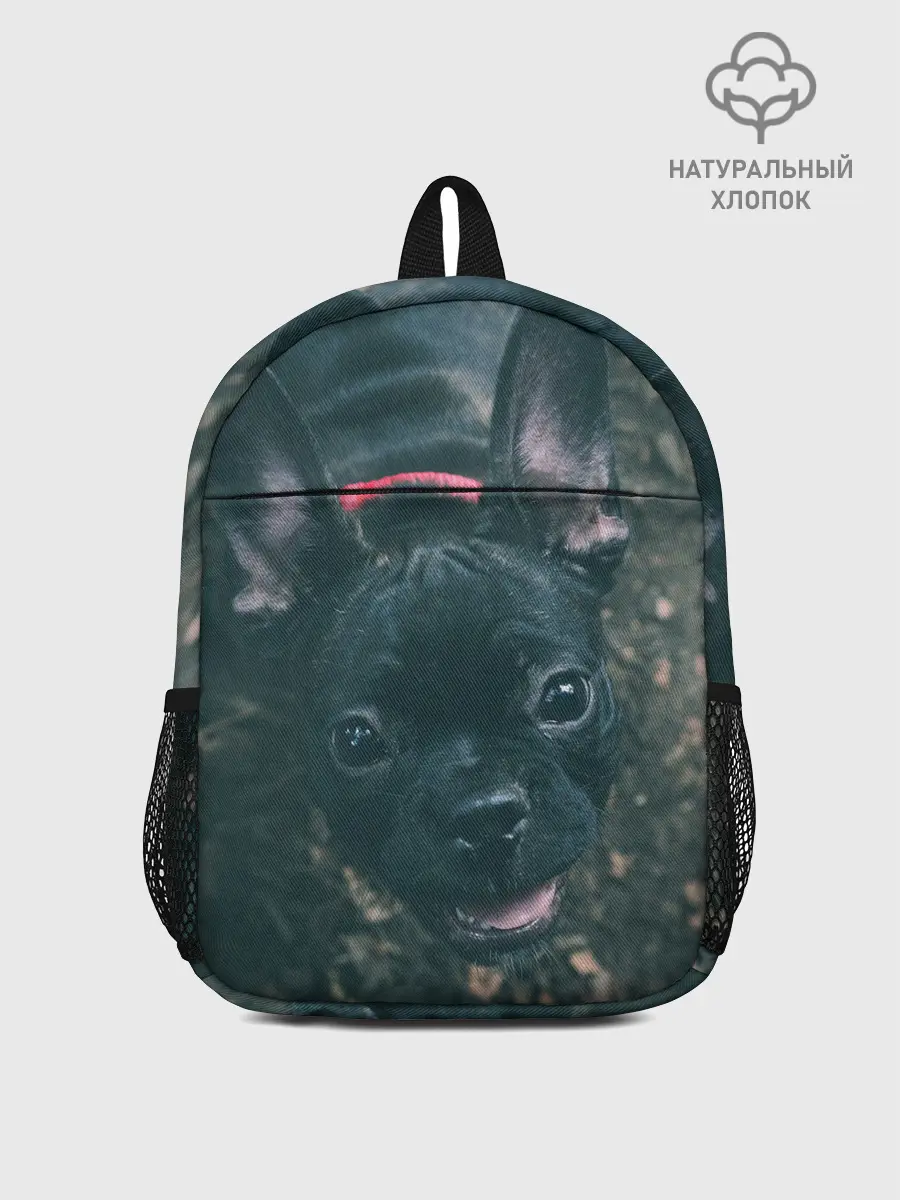 Рюкзак детский / Бульдог морда собакена черного