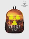 Рюкзак детский / S.T.A.L.K.E.R Дима