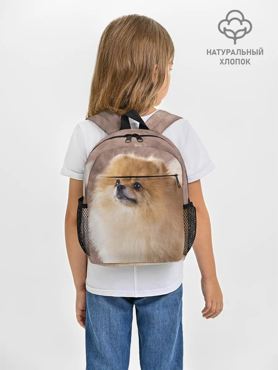 Рюкзак детский / Шпитс
