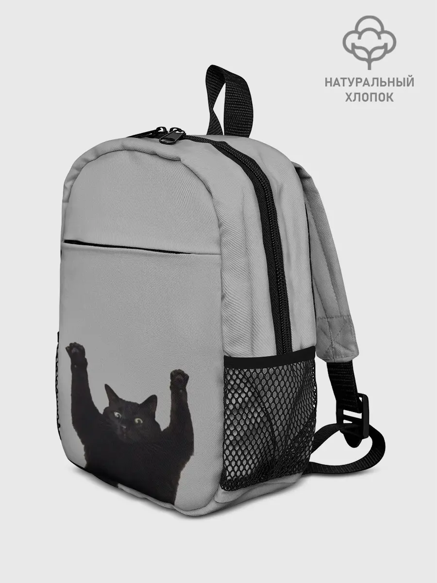 Рюкзак детский / Кот сдается