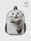 Рюкзак детский / серый котенок
