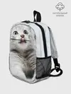 Рюкзак детский / серый котенок