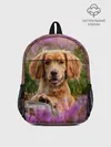Рюкзак детский / Dog