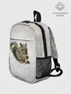 Рюкзак детский / Белки