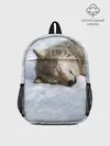 Рюкзак детский / Спящий Волк