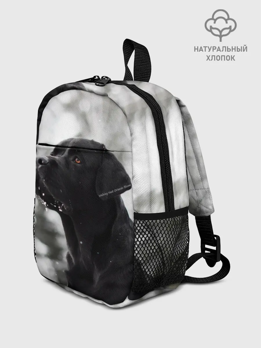 Рюкзак детский / Лабрадор Марк