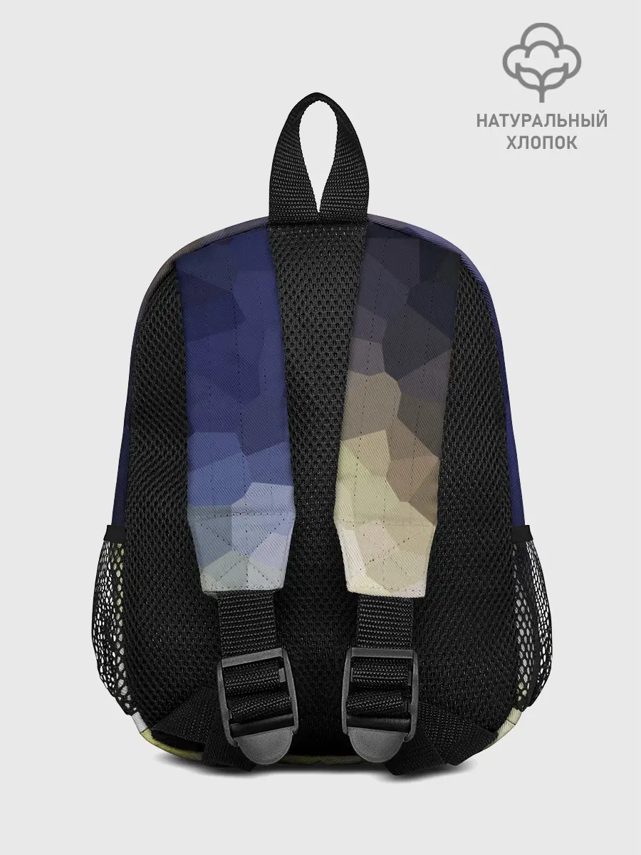 Рюкзак детский / LAND ROVER