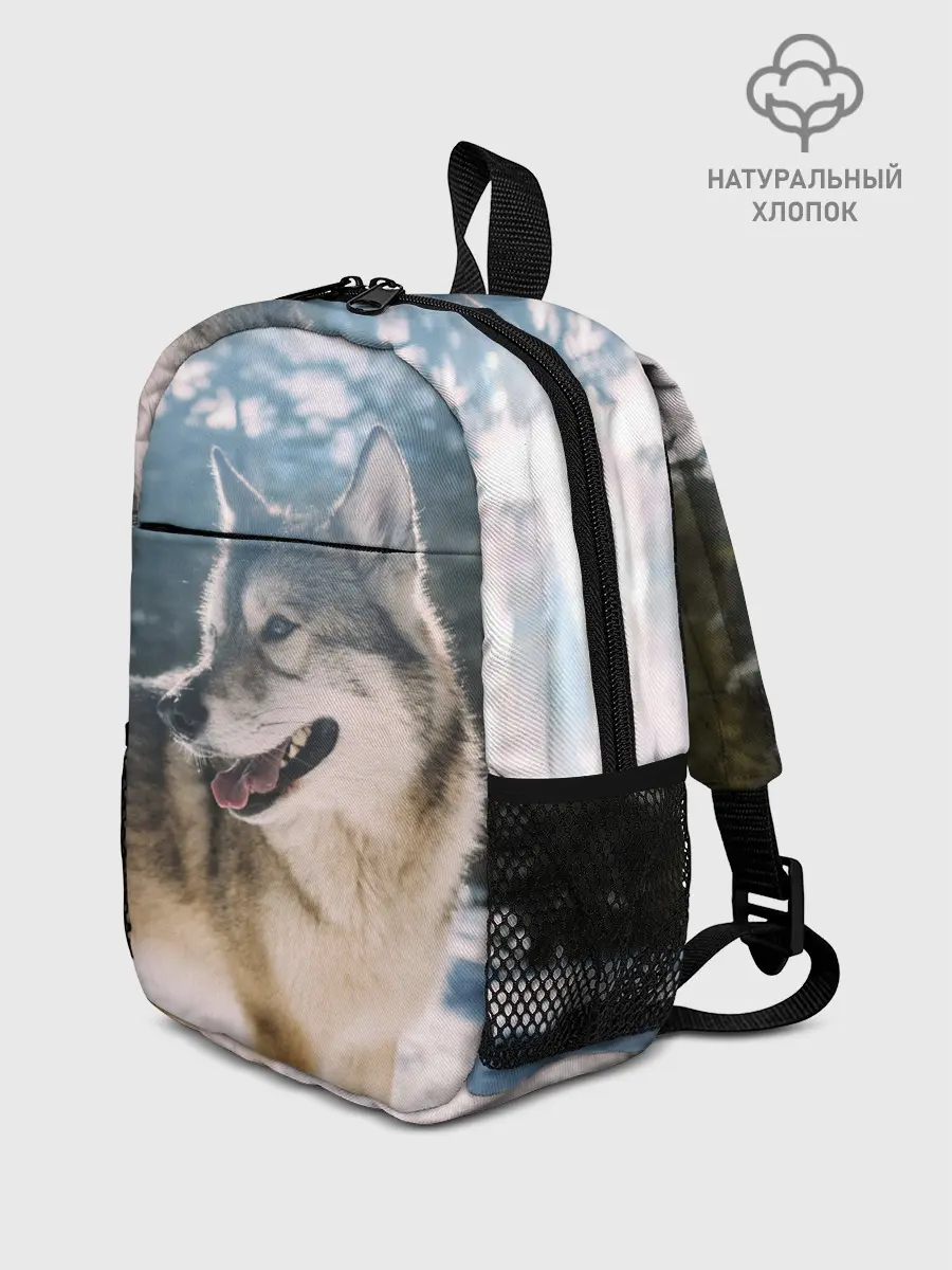 Рюкзак детский / Волк и снег