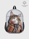 Рюкзак детский / Кот в шарфе